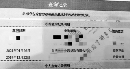 陈楠的个人征信被小贷公司“偷查”。