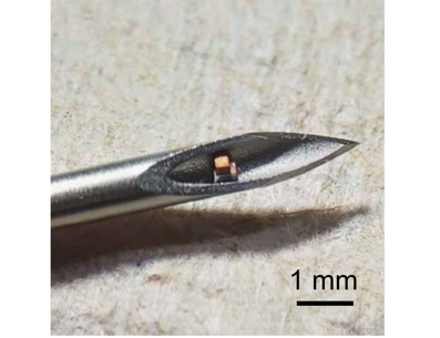 芯片放置于针头的照片，显示其微型的尺寸和可注射的特性。