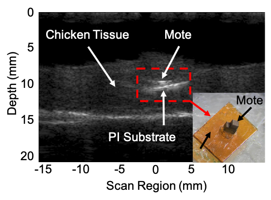 芯片放置于鸡肉中的超声图像，显示如何通过 B 超定位芯片。