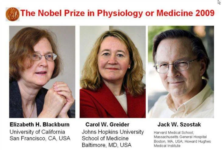 ▲ 布莱克本和卡罗尔·格雷德、杰克·索斯塔克，共同获得 2009 年诺贝尔生理学或医学奖