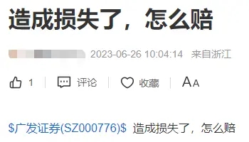 5.webp.jpg