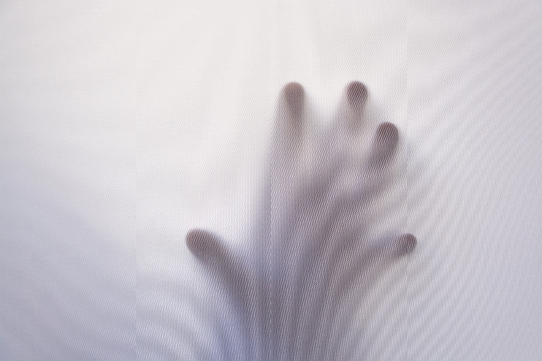 1700239958700699.png