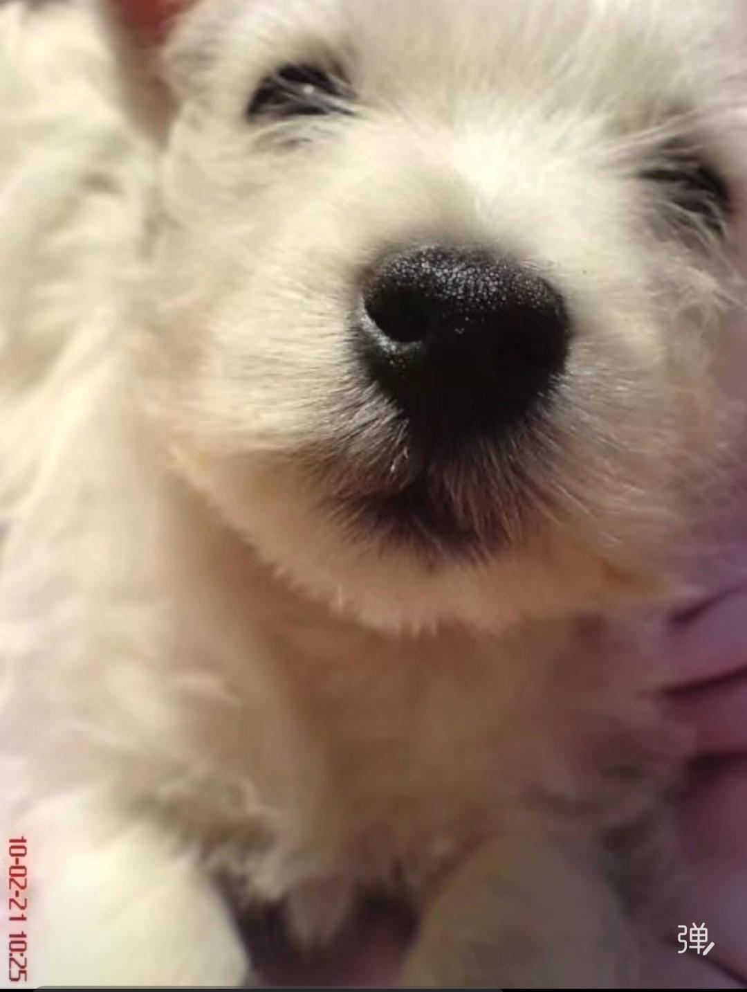 1765596803147843.png 1765596803147843.png