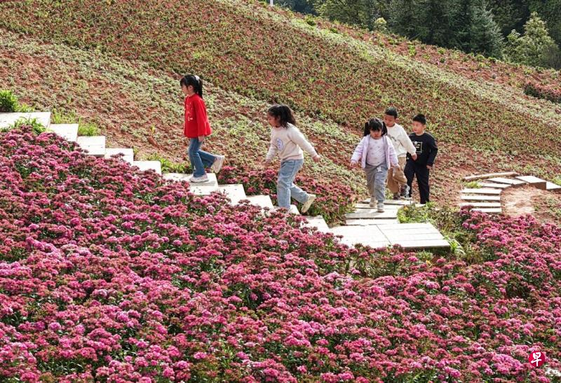 中国10个省份全省推行中小学春秋假，各地春假主要和清明假期或五一假期结合。图为4月4日清明期间，放假的小朋友在湖南省衡东县洣水镇踏青赏花。（新华社）