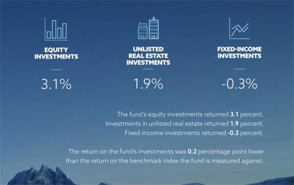  图片来源：挪威政府养老基金2017年年报截图